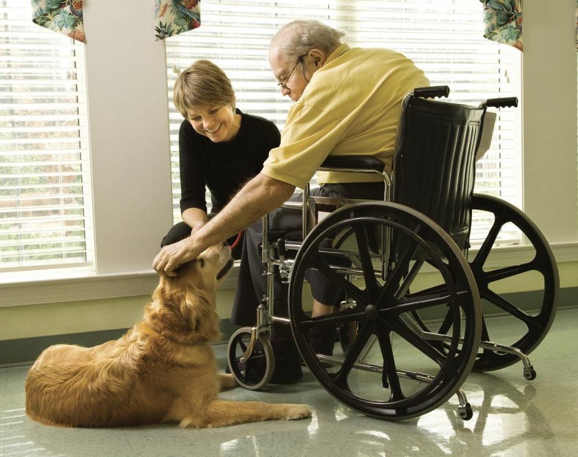 Интернаты для престарелых и инвалидов